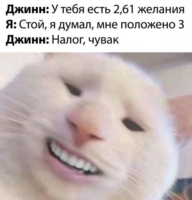 джинн У тебя есть 261 желания Я Стой я думал мне положено 3 джинн Налог чувак