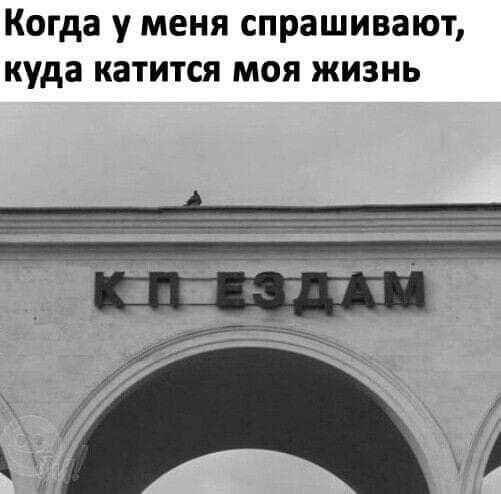 Когда у меня спрашивают куда катится моя жизнь