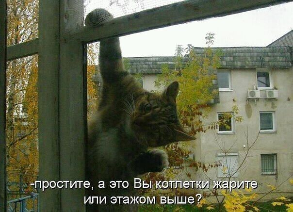 простите а это Вьпкеті1ет к или этажом выше 7
