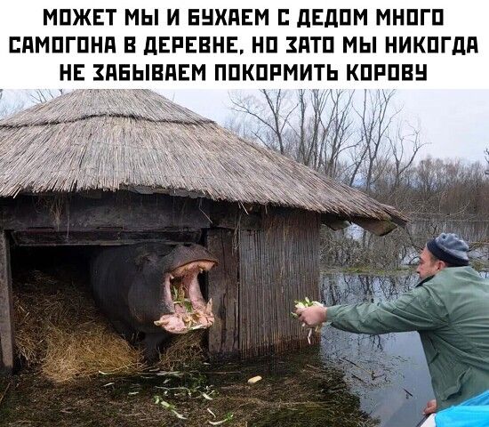 МПЖЕТ МЫ И ЕНХПЕМ дЕдПМ МНПГП ЕПМПГПНЯ В дЕРЕВНЕ НП ЗНТП МЫ НИКПГдП НЕ ЗПЕЫВПЕМ ППКПРМИТЬ КПРПВН