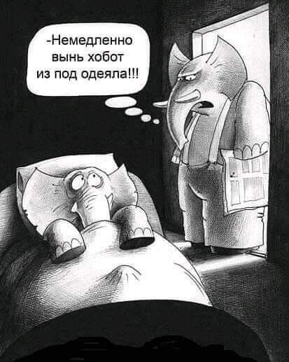 Немедпенно вынь хобот из под одеяла