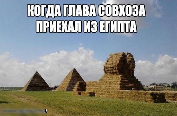 ПТ іюідд ШАБАВПВКП А шиншил из АДА