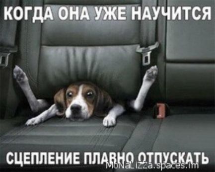 когдйіітся тц тд Ё дА сцепление м9і