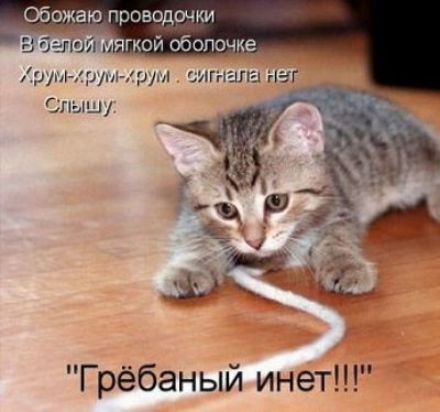 тожаю проводочки Грёбаный инет