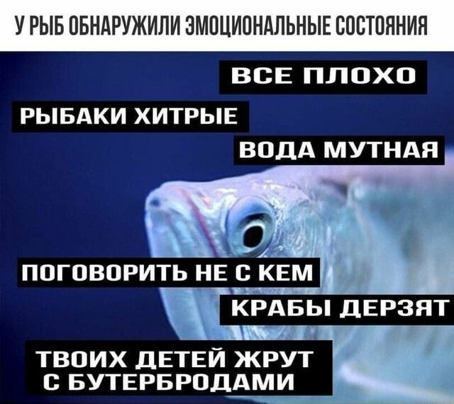 У РЫБ ОБНАРУЖИЛИ ЗМПЦИОНАЛЬНЫЕ ВПЕТПЯНИН ВСЕ ПЛОХО РЫБАКИ ХИТРЫЕ ВОДА МУТНАН ППГОВОРИТЬ НЕ В КЕМ КРАБЬ ЦЕРЗЯТ твоих ДЕТЕЙ жрут БУТЕРБРОДАМИ