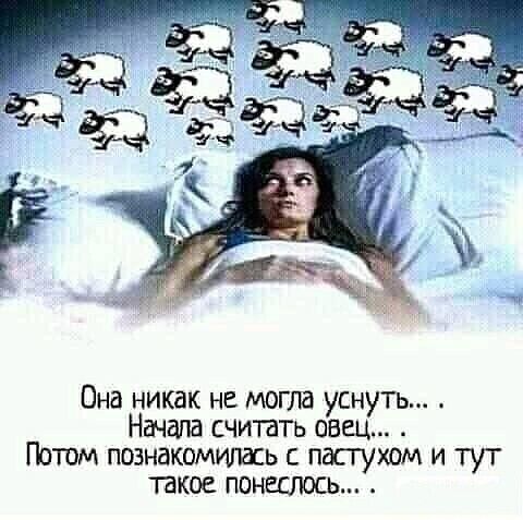 Она никак не могла уснуть Начала считать овец Потом познакомилась с пастухом и тут такое понеслось