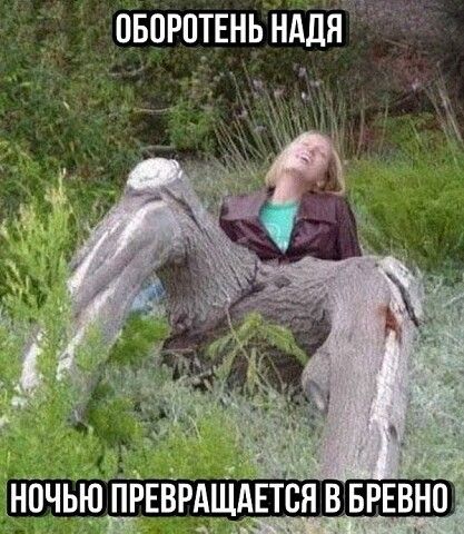 пворптЕнь нддя