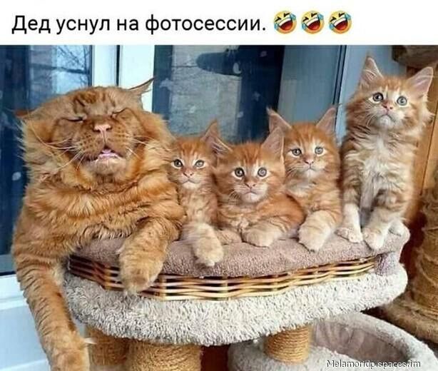 и и С с е С о Т 0 ф 8 Н Л У Н с У д 6 Д