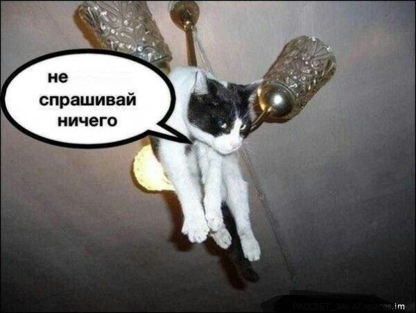 спрашивай ничего