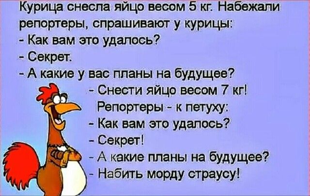 Курица снесла яйцо весом 5 кг Набежали репортеры спрашивают у курицы Как вам это удалось Секрет А какие у вас планы на будущее Снести яйцо весом 7 кг Репортеры к петуху Как вам это удалось Секрет А какие планы на будущее Набить морду страусу