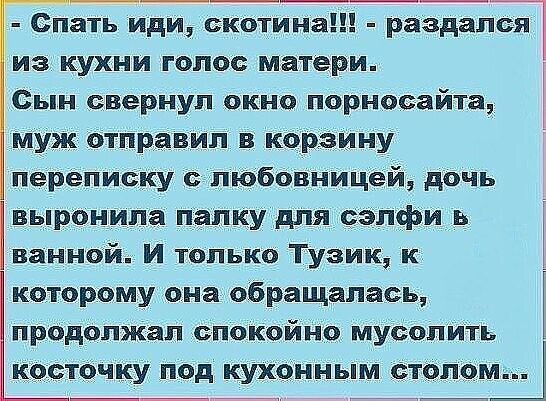 раздался из кухни голос матери Сын свернул окно порносайта муж отправмл в корзину переписку любовницей дочь выронила папку для о_элфи в ванной И только Тузик к которому она обращалась продолжал спокойно муеолить косточку под кухонным столом _