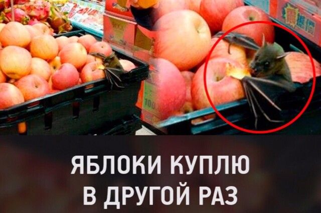 3 мёд ЯБЛОКИ КУПЛЮ В ДРУГОЙ РАЗ