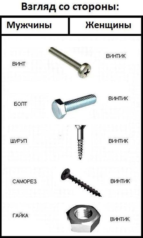ВЗГЛЯД СО СТОРОНЫ САМОРЕЭ