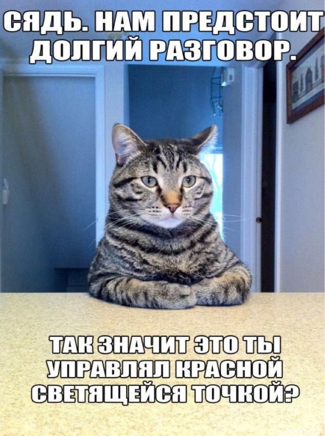 сипривили