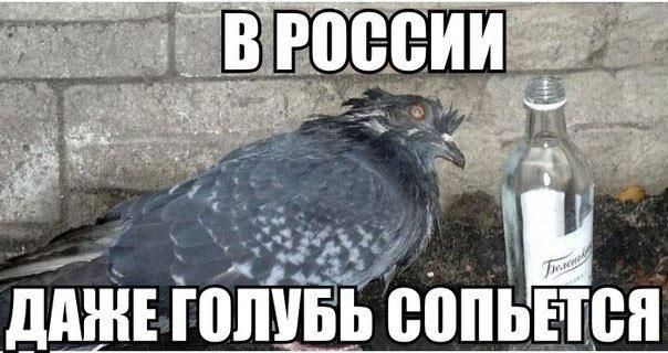 ддЕ ГШШЬ сопьасн