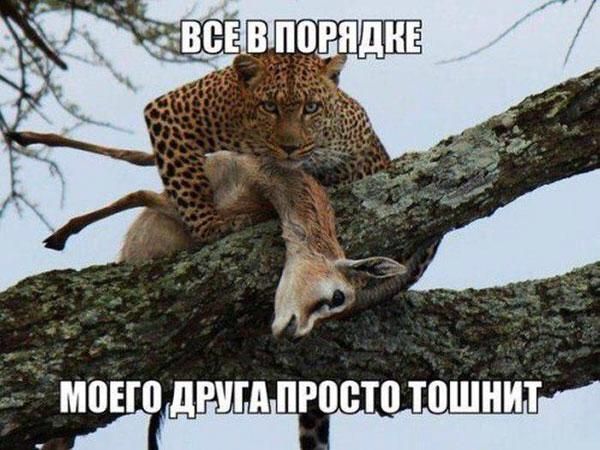 ПРЩБЮ ТПШНИТ дпни ММП