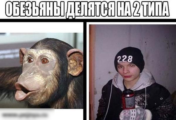 делитен ЕШЁШШ