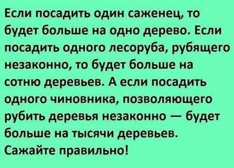 Если посадить один саженец то будет больше на одно дерево Если посадить одного лесоруба рубящего незаконно то будет больше на сотню деревьев А если посадить одного чиновника позволяющего рубить деревья незаконно будет больше на тысячи деревьев Сажайте правильно