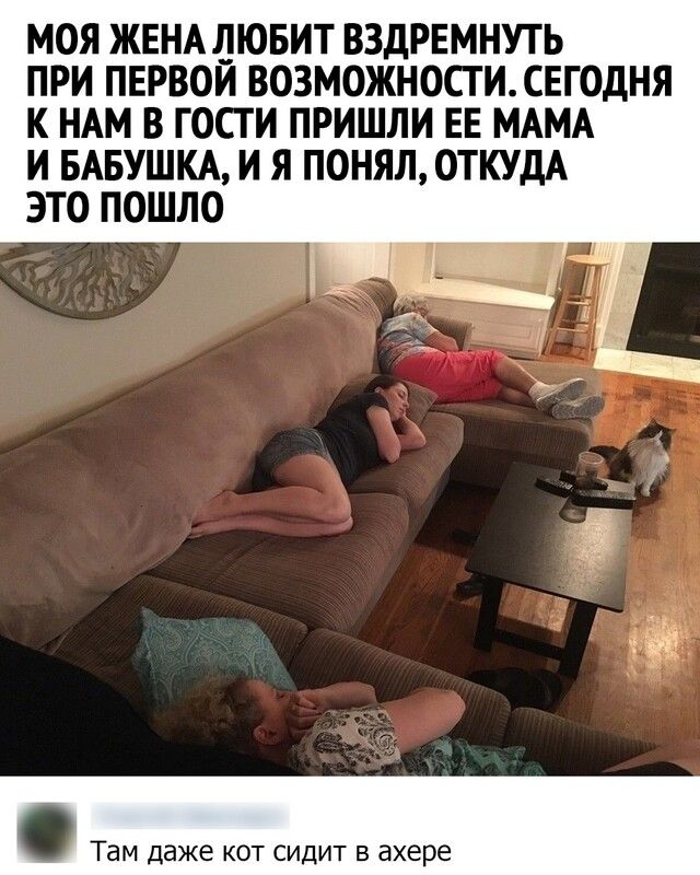 МОЯ ЖЕНА ДЮБИТ ВЗДРЕМНУТЬ ПРИ ПЕРВОИ ВОЗМОЖНОСТИСЕГОДНЯ К НАМ В ГОСТИ ПРИШЛИ ЕЕ МАМА И БАБУШКА И Я ПОНЯЛ ОТКУДА ЭТО ПОШЛО 921 Там даже кот сидит в ахере