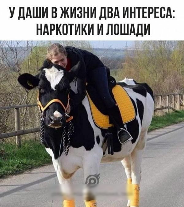 У ДАШИ В ЖИЗНИ ДВА ИНТЕРЕСА НАРКОТИКИ И ЛПШАДИ