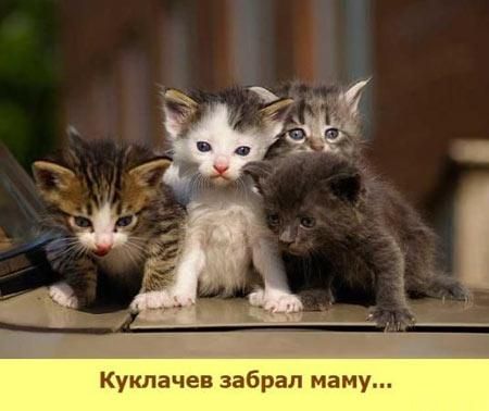 Куклачев забрал маму