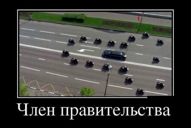 Член правительства