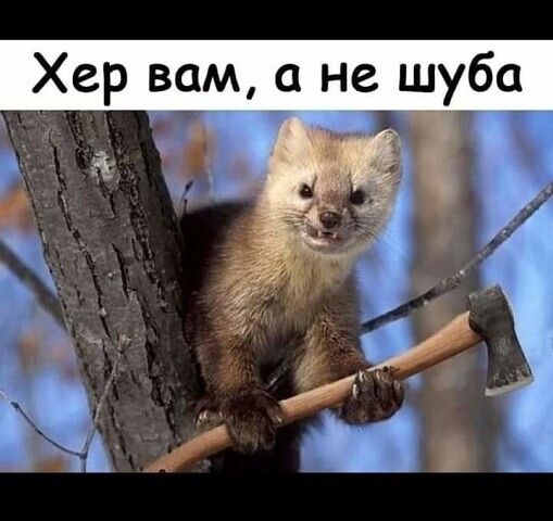 Хер вам а не шуба_