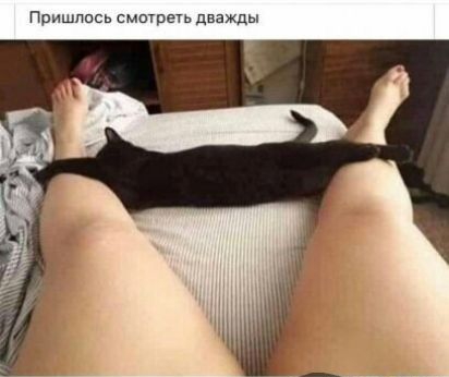 Пришпась смотр дважды