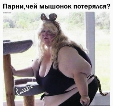Париидей мышонок потериюя
