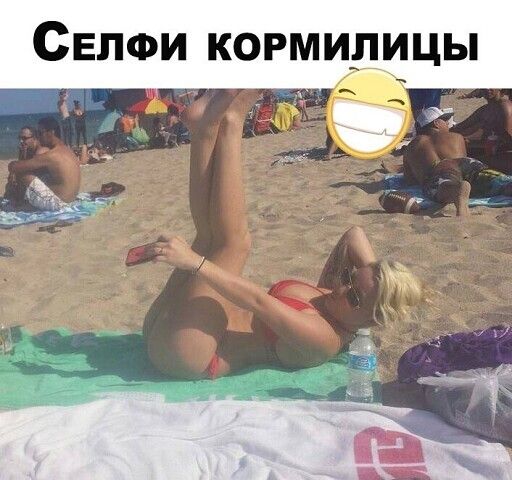 СЕПФИ КОРМИЛИЦЫ