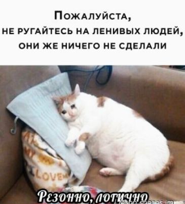 ПОЖАЛУЙСТА НЕ РУГАЙТЕСЬ НА ПЕНИВЫХ ЛЮДЕЙ они же ничего не сдвлдли отт тт тп