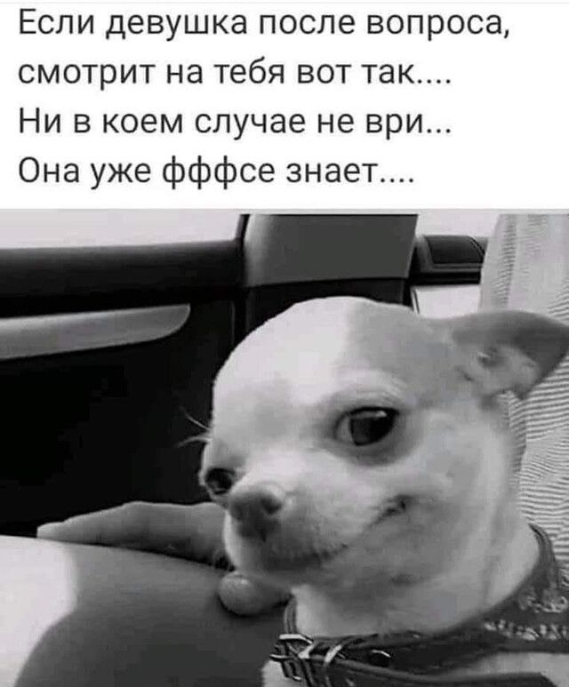 Если девушка после вопроса смотрит на тебя вот так Ни в коем случае не ври Она уже фффсе знает