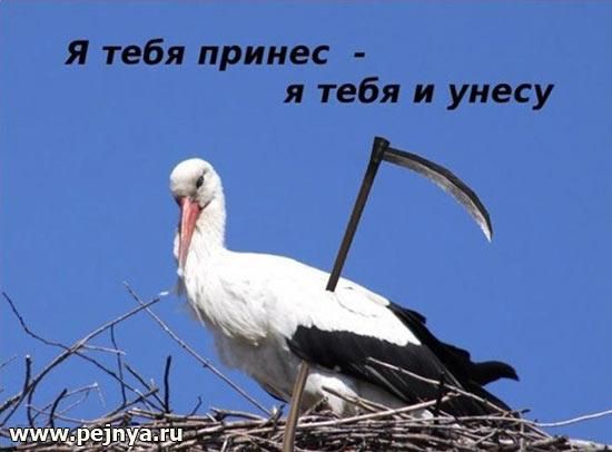 Я тебя принес я тебя и унесу