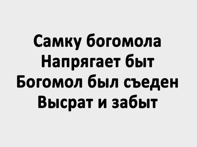 Самку богомола Напрягает быт Богомол был съеден Высрат и забыт