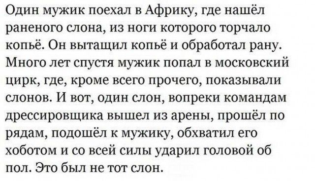 Один мужик поехал в Африку где нашёл раненого слона из ноги которого торчало копьё Он вытащил копьё и обработал рану Много лет спустя мужик попал в московский цирк где кроме всего прочего показывали слонов И вот один слон вопреки командам дрессировщика вышел из арены прошёл по рядам подошёл к мужику обхватил его хоботом и со всей силы ударил головой об пол Это был не тот слон