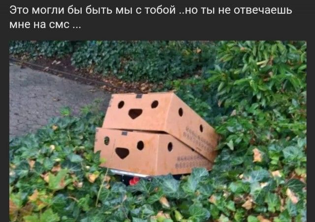 Это могли бы быть мы с тобой не ты не отвечаешь мне на смс