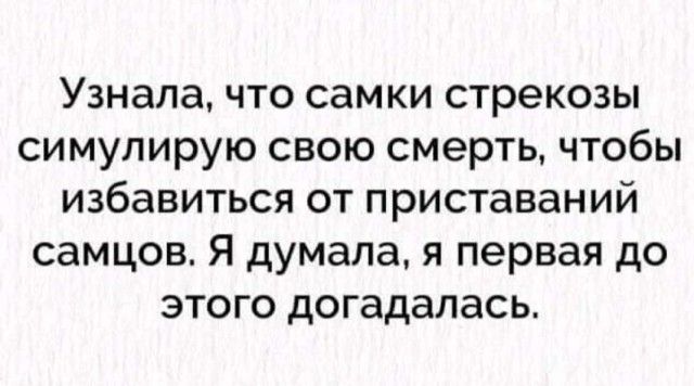 Узнала что самки стрекозы симулирую свою смерть чтобы избавиться от приставаний самцов Я думала я первая до этого догадалась