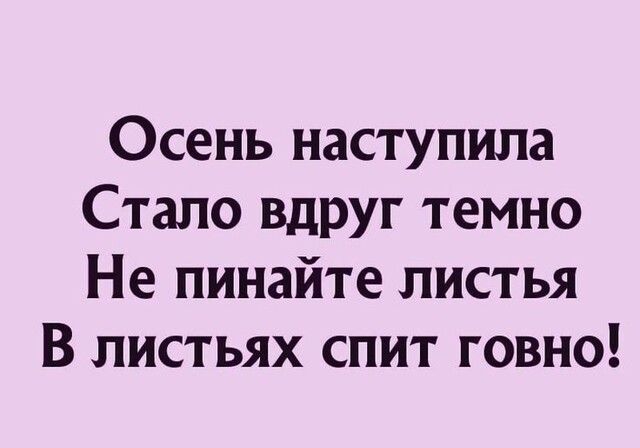 Осень наступила Стало Вдруг темно Не пинайте листья В листьях спит говно