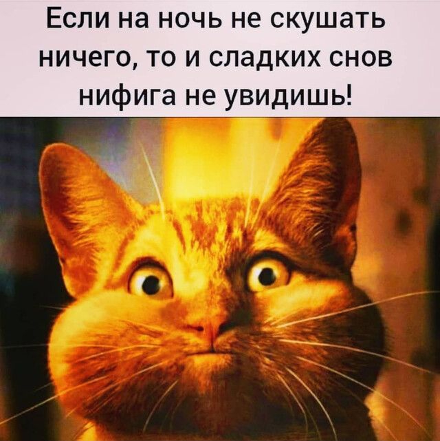 Если на ночь не скушать ничего то и сладких снов нифига не увидишь