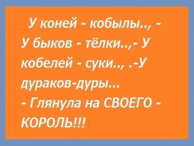 У коней Юбигы У быков тёлки У й суки яу дураков дуры Г лянула на СВОЕГО КОРОЛЬ