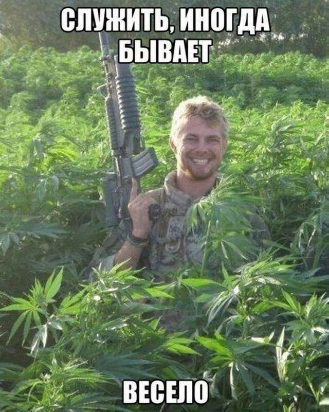 ВШШТЬ иноддд дд БЫВАЕТ _ 352 д ниж ч гг 7 __1 из А _