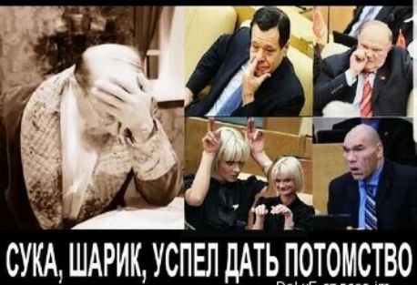 СУКА ШАРИК УСПЕЛ ДАТЬ ПОТОМСТВО