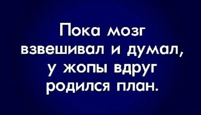 Пока мозг взвешивсл и думал у жопы вдруг родился план