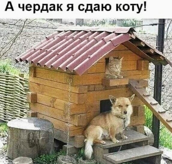 о дакясдатшт ту Ачер _ Ч _