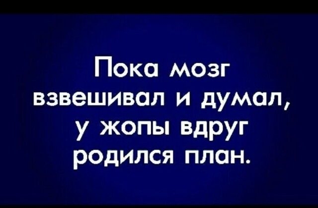 Пока мозг взвешивал и думал у жопы вдруг родился план