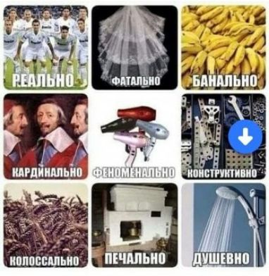 и В с п п о и