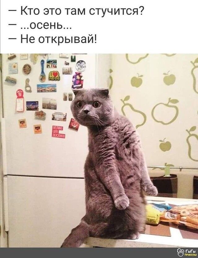 Кто это там стучится осень Не открывай