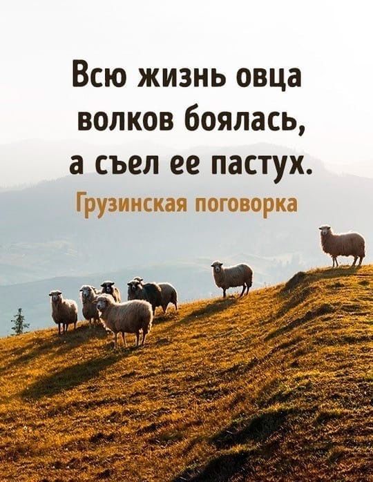 Всю жизнь овца волков боялась а съел ее пастух АСЁШП ПШГЕЦЗППП