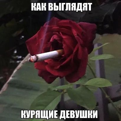 ШШ ВЫПШдіП _ _