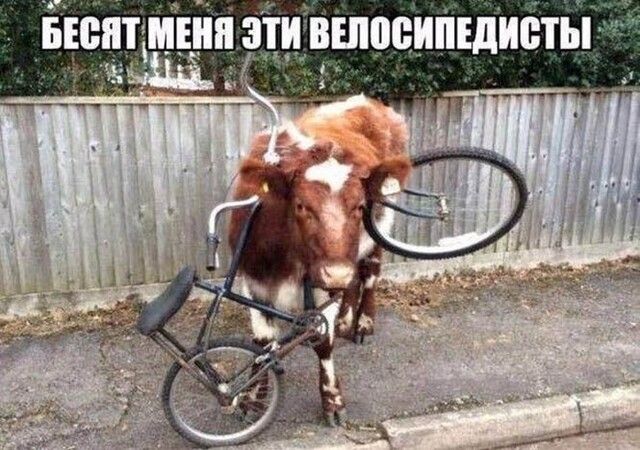 Ёівёспт пнд эіиівшосипшиетьг